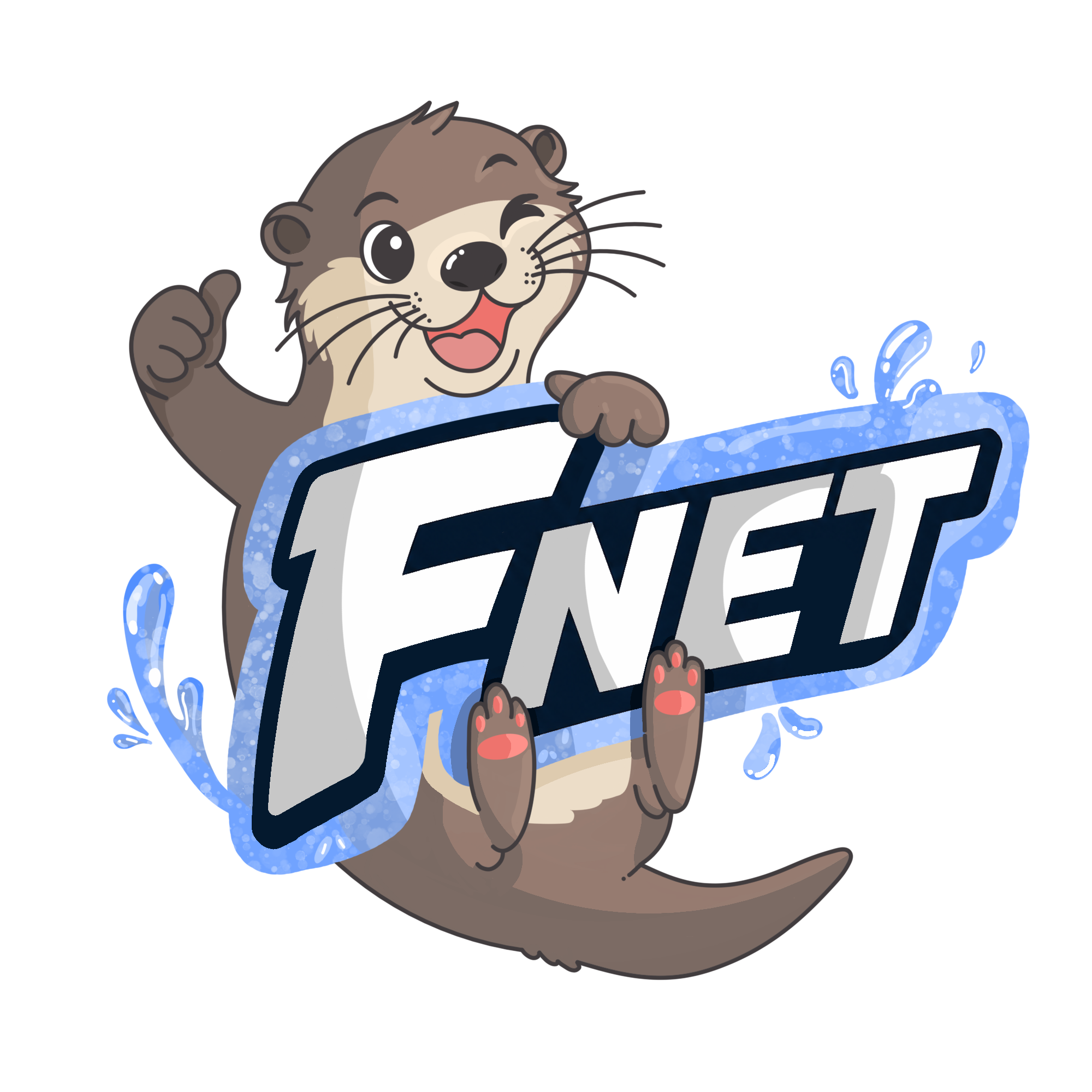 FrenchNetwork